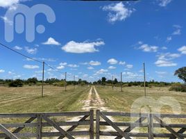  Land for sale in La Plata, Buenos Aires, La Plata