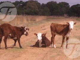  Grundstück zu verkaufen in Ituzaingo, Corrientes, Ituzaingo