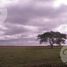  Terrain for sale in Ituzaingo, Corrientes, Ituzaingo