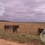  Grundstück zu verkaufen in Ituzaingo, Corrientes, Ituzaingo