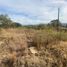  Land for sale in Punilla, Cordoba, Punilla