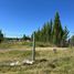  Land for sale in Neuquen, Confluencia, Neuquen