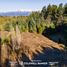  Land for sale in Neuquen, Los Lagos, Neuquen