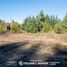  Land for sale in Neuquen, Los Lagos, Neuquen