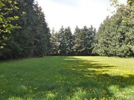  Terreno (Parcela) en venta en Rio Negro, Bariloche, Rio Negro