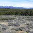  Land for sale in Alumine, Neuquen, Alumine