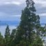  Land for sale in Rio Negro, Bariloche, Rio Negro