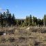  Land for sale in Rio Negro, Bariloche, Rio Negro