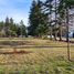  Land for sale in Rio Negro, Bariloche, Rio Negro