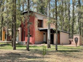 Studio House for rent in Iriondo, Santa Fe, Iriondo