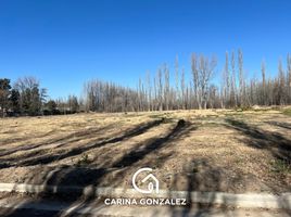  Land for sale in Confluencia, Neuquen, Confluencia