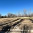  Land for sale in Confluencia, Neuquen, Confluencia