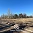  Land for sale in Confluencia, Neuquen, Confluencia