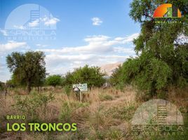  Land for sale in Junin, San Luis, Junin