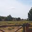  Land for sale in El Cuy, Rio Negro, El Cuy