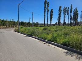  Land for sale in Confluencia, Neuquen, Confluencia