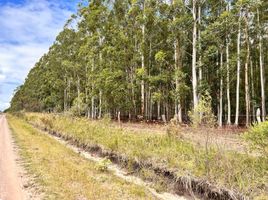  Terreno (Parcela) en venta en Concordia, Entre Rios, Concordia