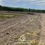  Land for sale in Confluencia, Neuquen, Confluencia