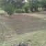  Land for sale in Exaltacion De La Cruz, Buenos Aires, Exaltacion De La Cruz