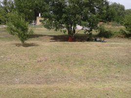  Land for sale in Exaltacion De La Cruz, Buenos Aires, Exaltacion De La Cruz