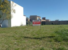  Land for sale in Castellanos, Santa Fe, Castellanos