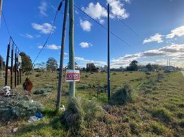  Terreno (Parcela) en venta en General Alvarado, Buenos Aires, General Alvarado