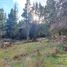  Land for sale in Rio Negro, Bariloche, Rio Negro