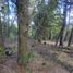  Land for sale in Rio Negro, Bariloche, Rio Negro