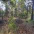  Land for sale in Rio Negro, Bariloche, Rio Negro