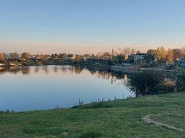  Grundstück zu verkaufen in Tigre, Buenos Aires, Tigre