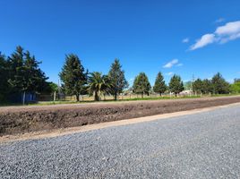  Land for sale in La Plata, Buenos Aires, La Plata