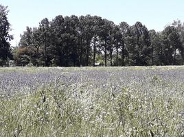  Terreno (Parcela) en venta en Pilar, Buenos Aires, Pilar