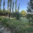  Terreno (Parcela) en venta en San Rafael, Mendoza, San Rafael