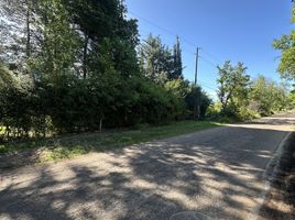  Terreno (Parcela) en venta en San Rafael, Mendoza, San Rafael