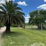  Land for sale in La Plata, Buenos Aires, La Plata