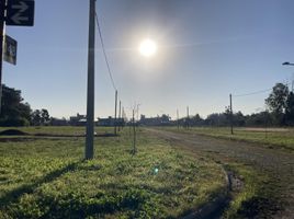  Grundstück zu verkaufen in La Plata, Buenos Aires, La Plata