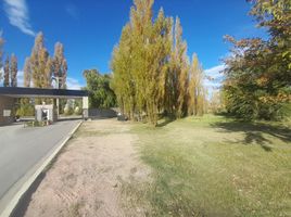  Terreno (Parcela) en venta en Confluencia, Neuquen, Confluencia