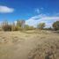  Land for sale in Neuquen, Confluencia, Neuquen