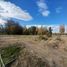  Land for sale in Neuquen, Confluencia, Neuquen