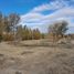  Land for sale in Neuquen, Confluencia, Neuquen