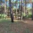  Land for sale in Pinamar, Buenos Aires, Pinamar