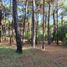  Land for sale in Pinamar, Buenos Aires, Pinamar