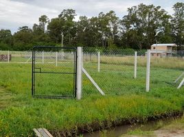  Terreno (Parcela) en venta en La Plata, Buenos Aires, La Plata