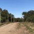  Land for sale in San Javier, Cordoba, San Javier