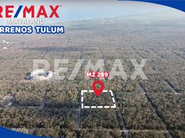  Land for sale in Cozumel, Quintana Roo, Cozumel