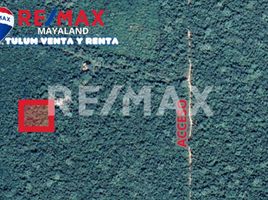  Land for sale in Cozumel, Quintana Roo, Cozumel