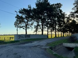  Grundstück zu verkaufen in Rosario, Santa Fe, Rosario, Santa Fe