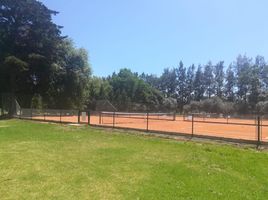 Terrain à vendre à Campana, Buenos Aires, Campana