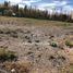  Land for sale in Neuquen, Confluencia, Neuquen