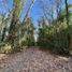  Land for sale in Quilmes, Buenos Aires, Quilmes